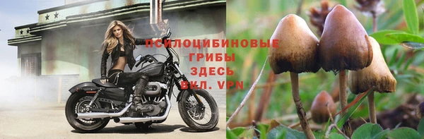 ешки Вуктыл