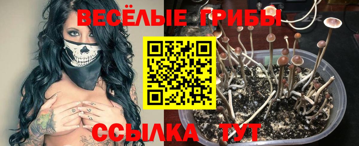 Сатка  Галлюциногенные грибы Psilocybine cubensis  Вход с VPN  Псилоцибиновые грибы прущие грибы 